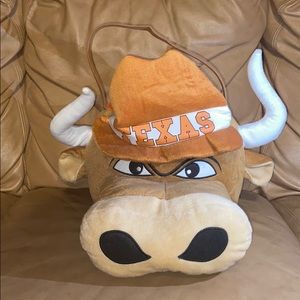 UT Austin Mascot Basket